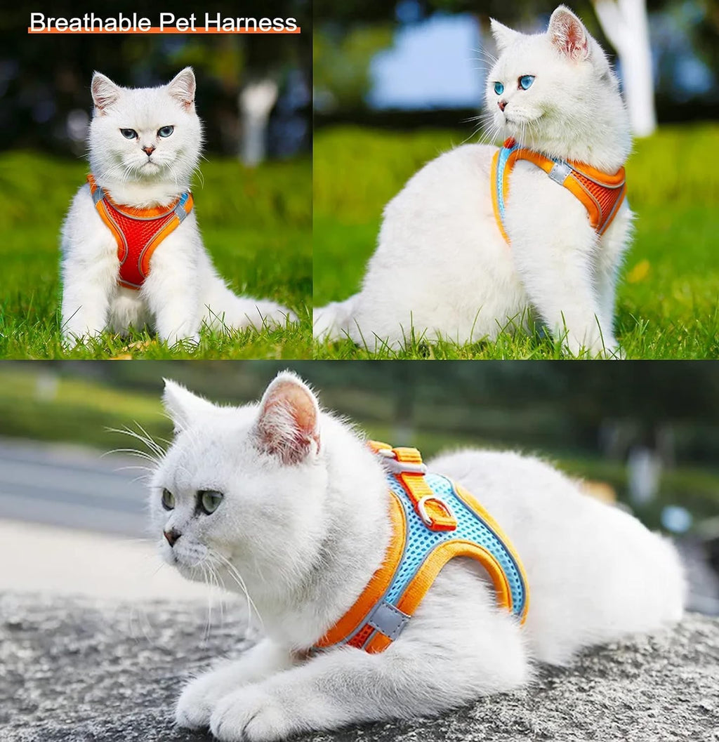 Cat Harness with Leash – Adjustable, Secure & Ultra-Comfortable